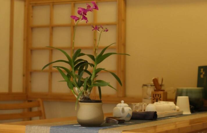 大兴区茶馆茶楼草沐·茶室