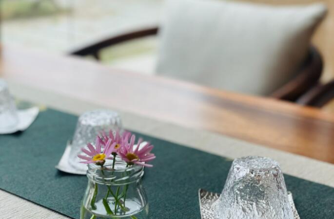 朝阳区茶楼溢茗坊·雨林古树茶