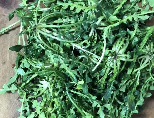 春天来了应该吃什么